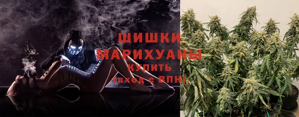 ГАЛЛЮЦИНОГЕННЫЕ ГРИБЫ Горнозаводск