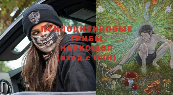 ГАЛЛЮЦИНОГЕННЫЕ ГРИБЫ Горнозаводск