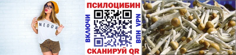 Купить где  Лениногорск  Галлюциногенные грибы MAGIC MUSHROOMS 